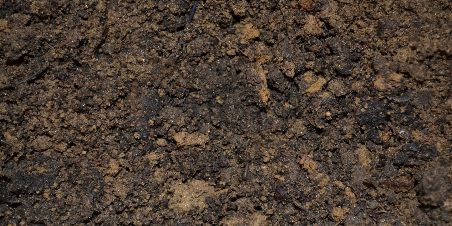 Grond