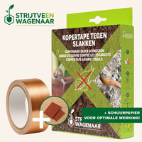 Schneckenband