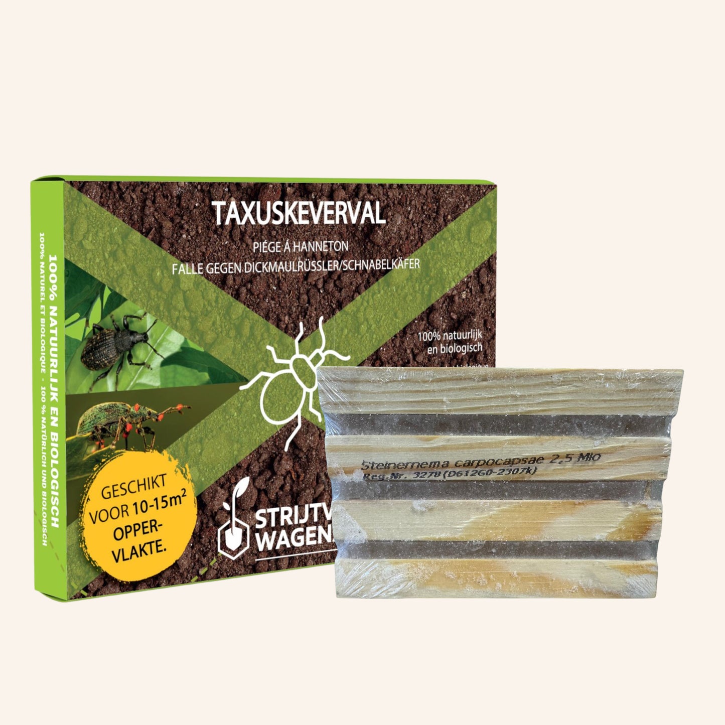 Strijtveen & Wagenaar Taxus-Käferfalle