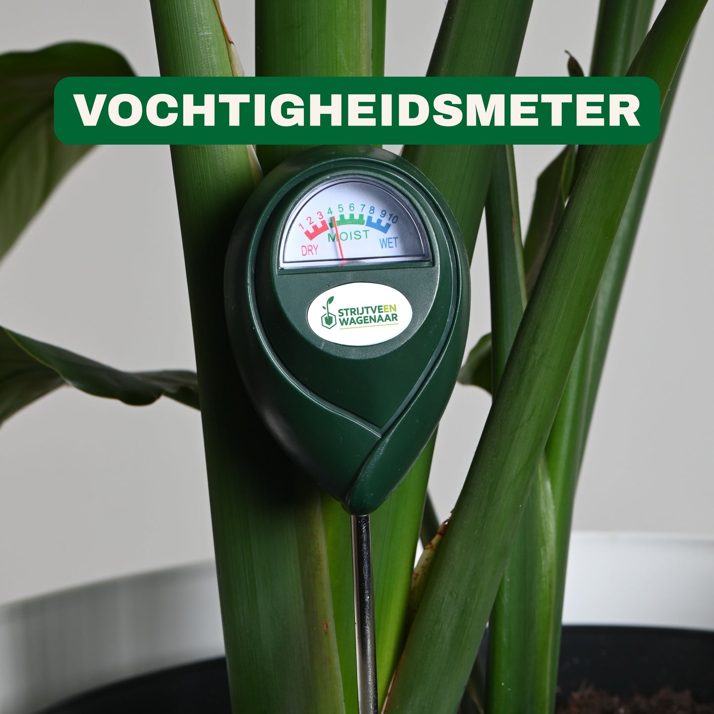 Feuchtigkeitsmesser