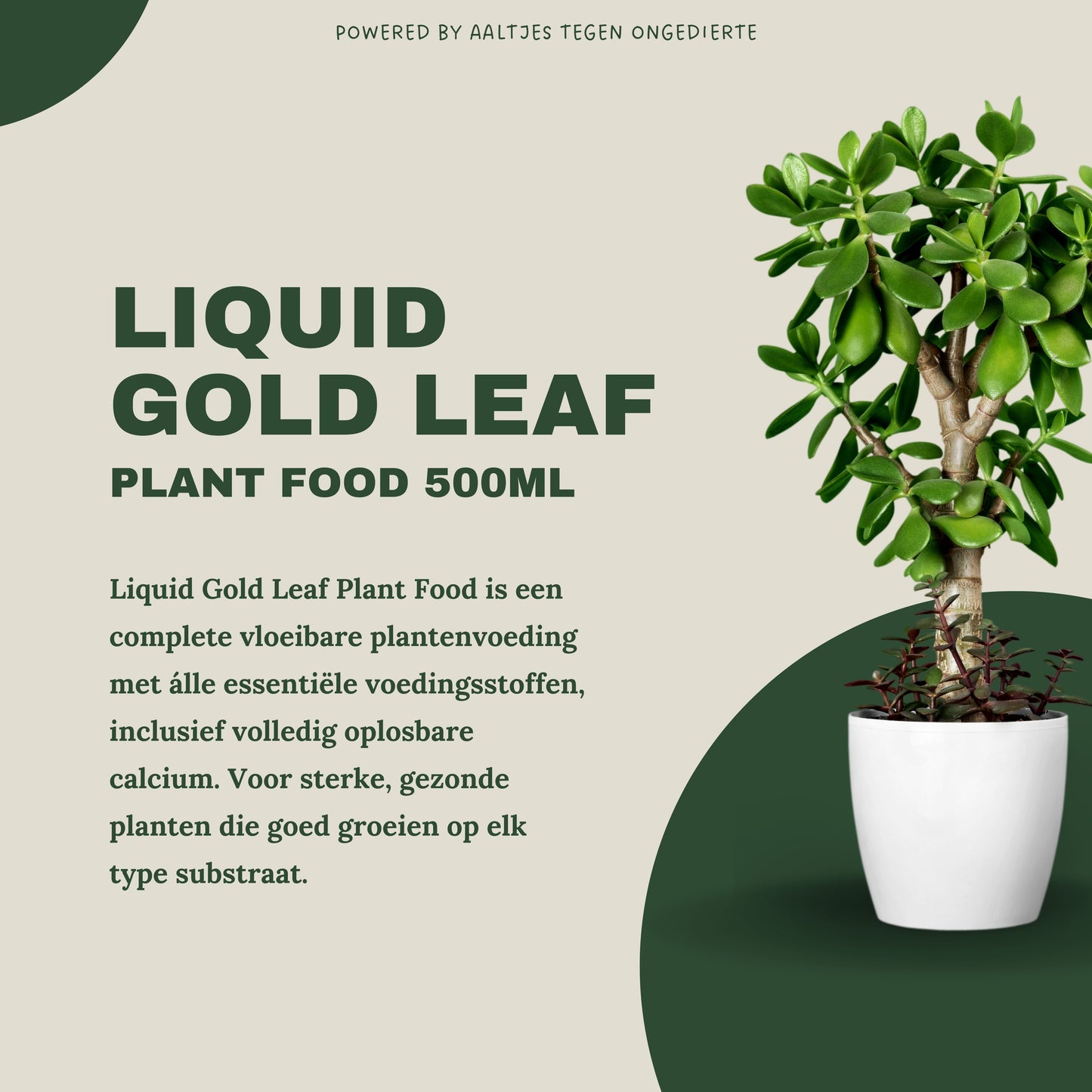 Liquid Gold Leaf Plant Food