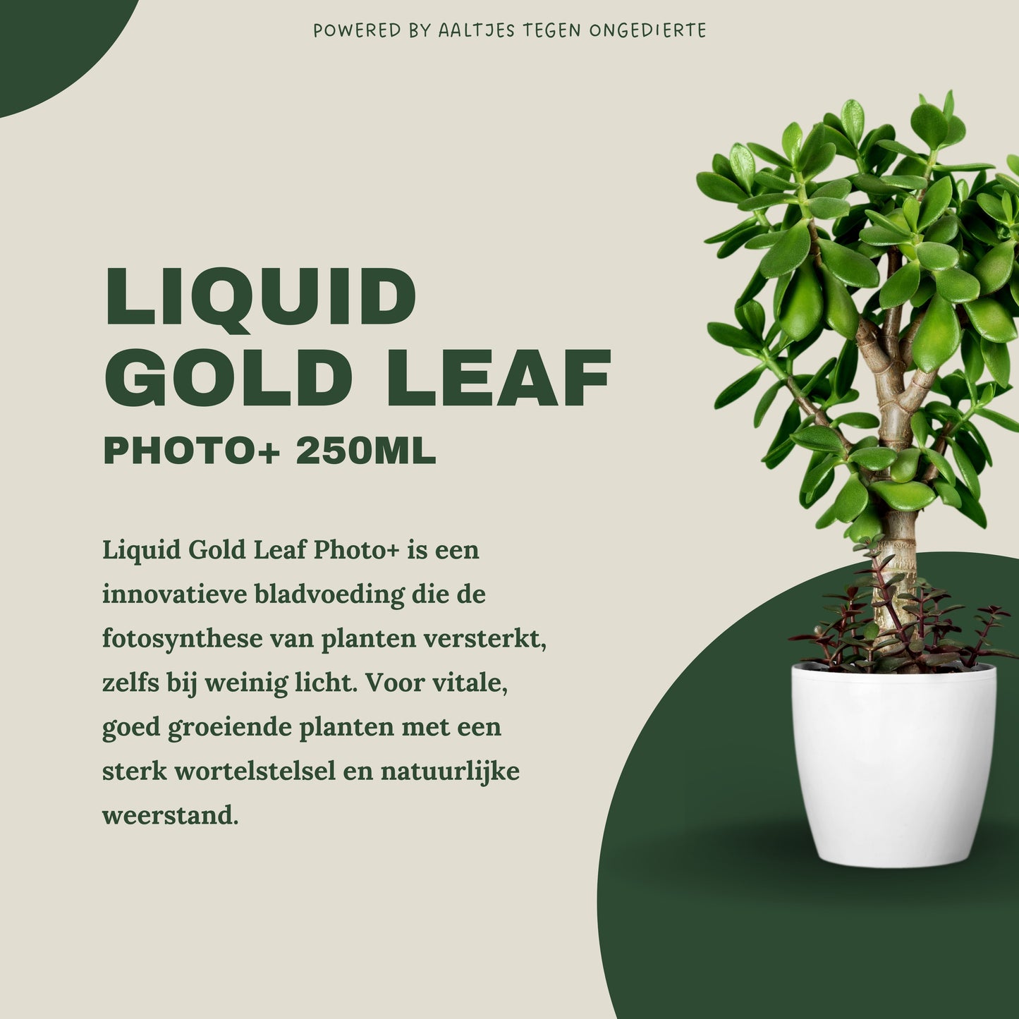 Liquid Gold Leaf Photo+ 250 ml