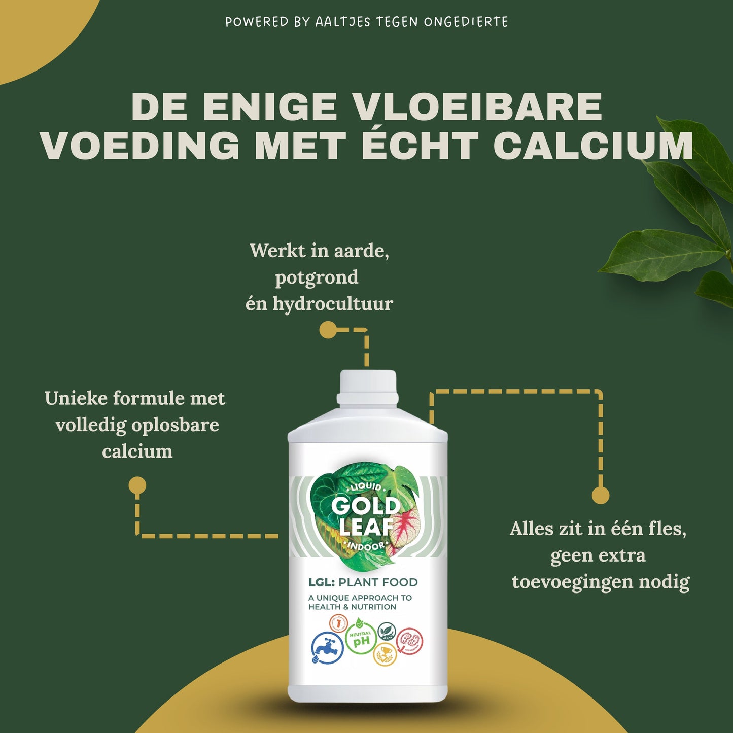 Liquid Gold Leaf Plant Food