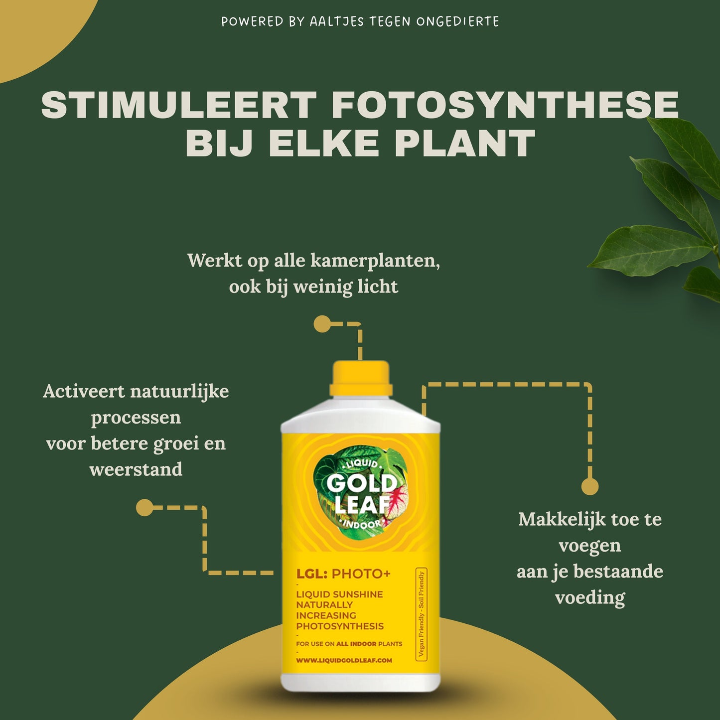 Liquid Gold Leaf Photo+ 250 ml