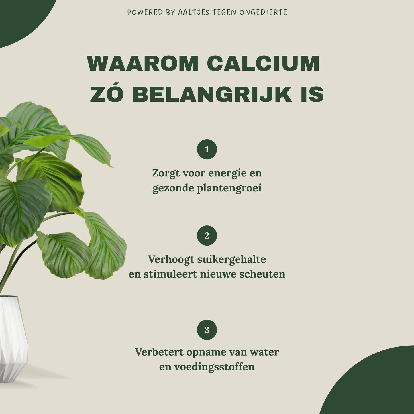 Liquid Gold Leaf Photo+ 250 ml