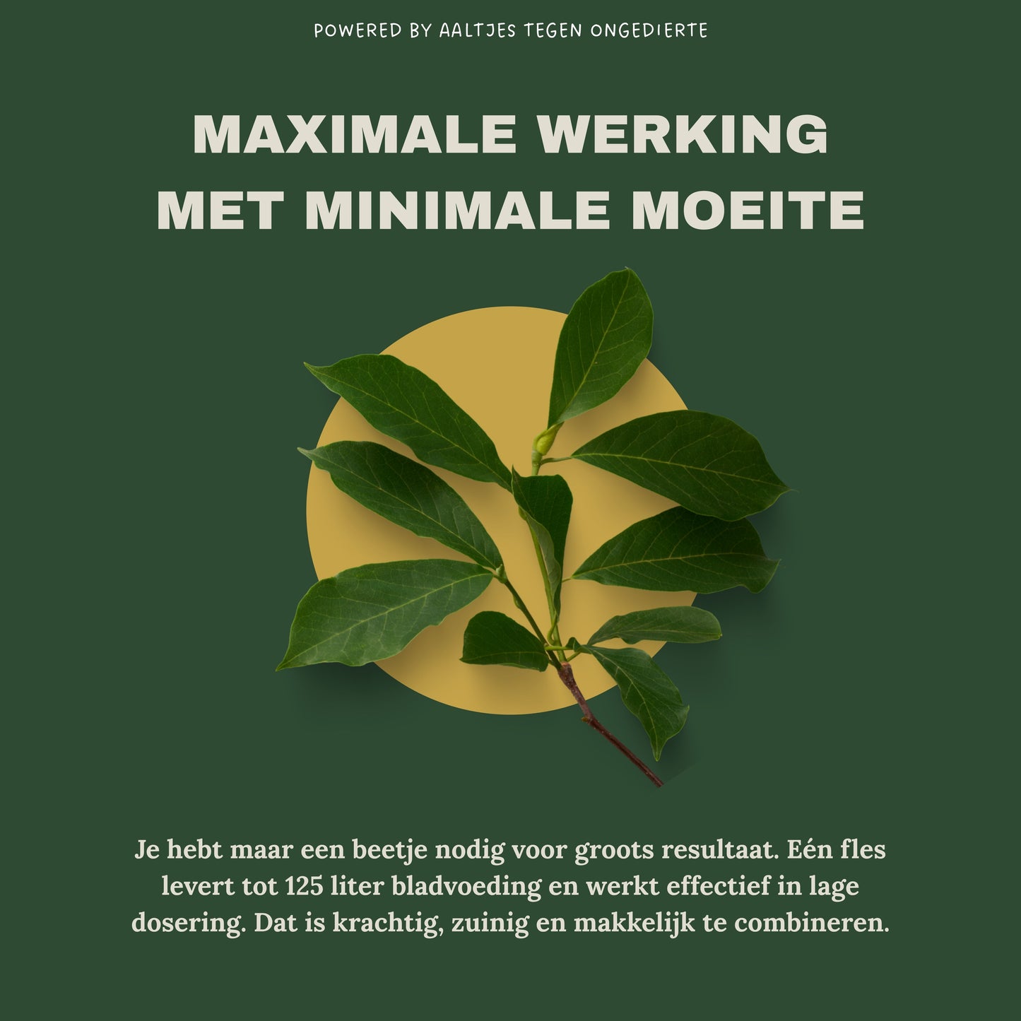 Liquid Gold Leaf Photo+ 250 ml