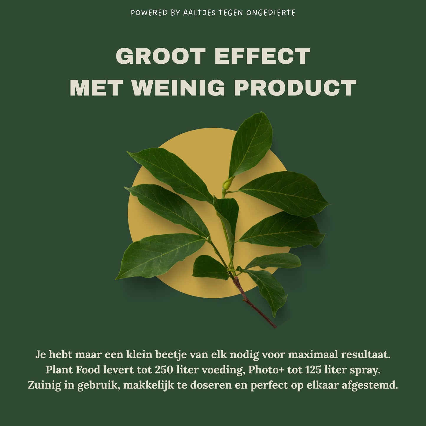 Liquid Gold Leaf Plant Food+ Liquid Gold Leaf Photo+ (2x 250ml)