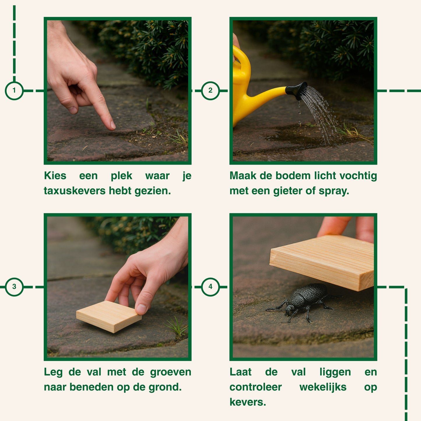 Strijtveen & Wagenaar Taxuskeverval + Aaltjes