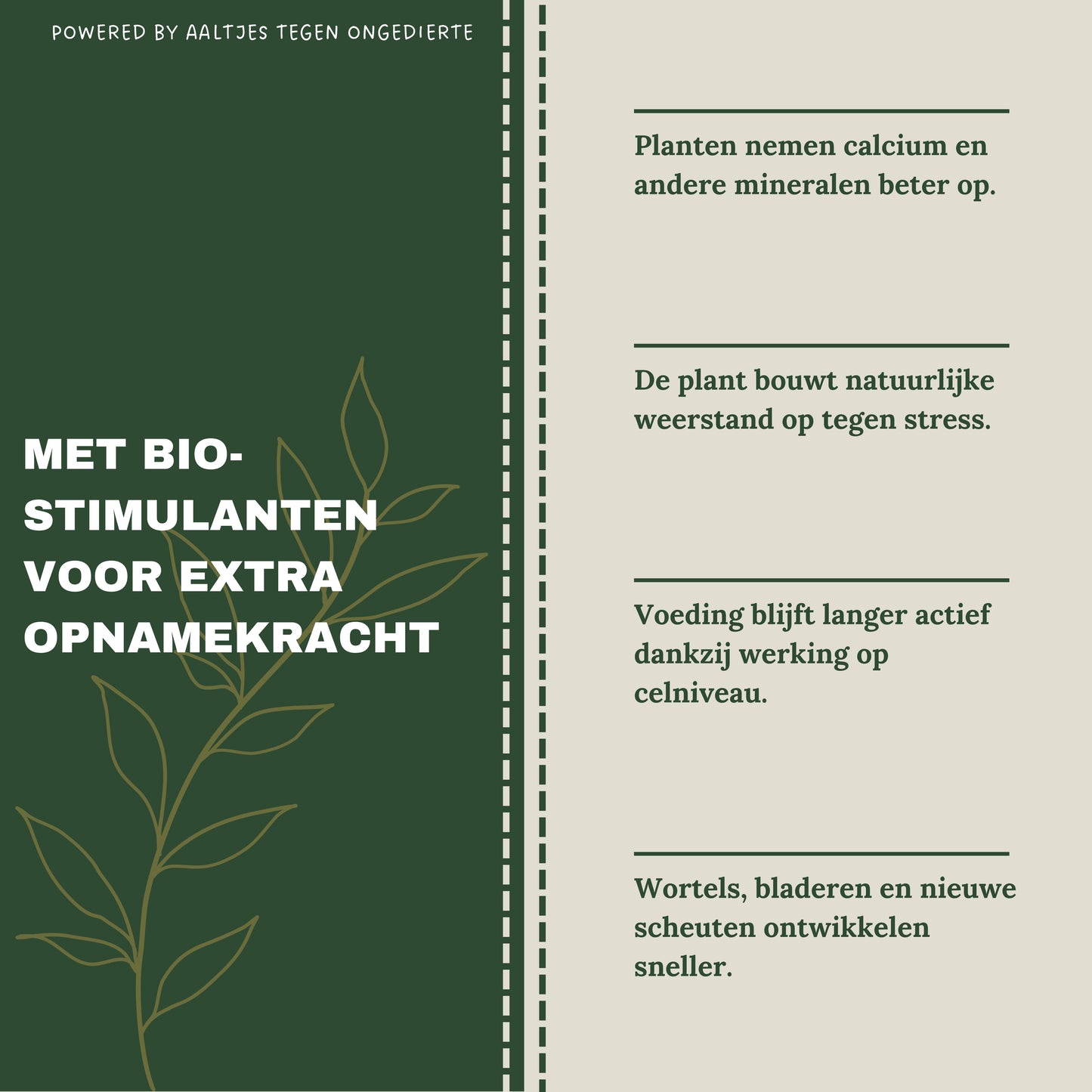 Liquid Gold Leaf Plant Food