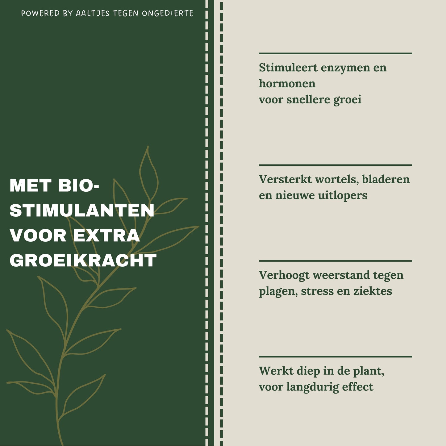 Liquid Gold Leaf Photo+ 250 ml