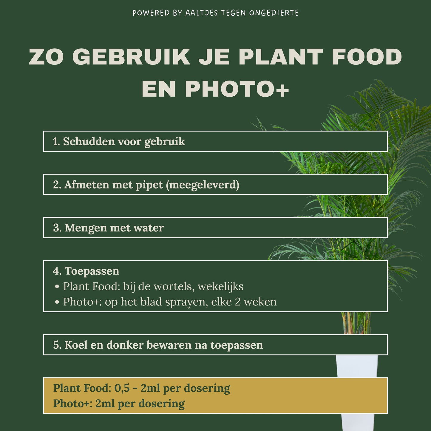 Liquid Gold Leaf Photo+ 250 ml