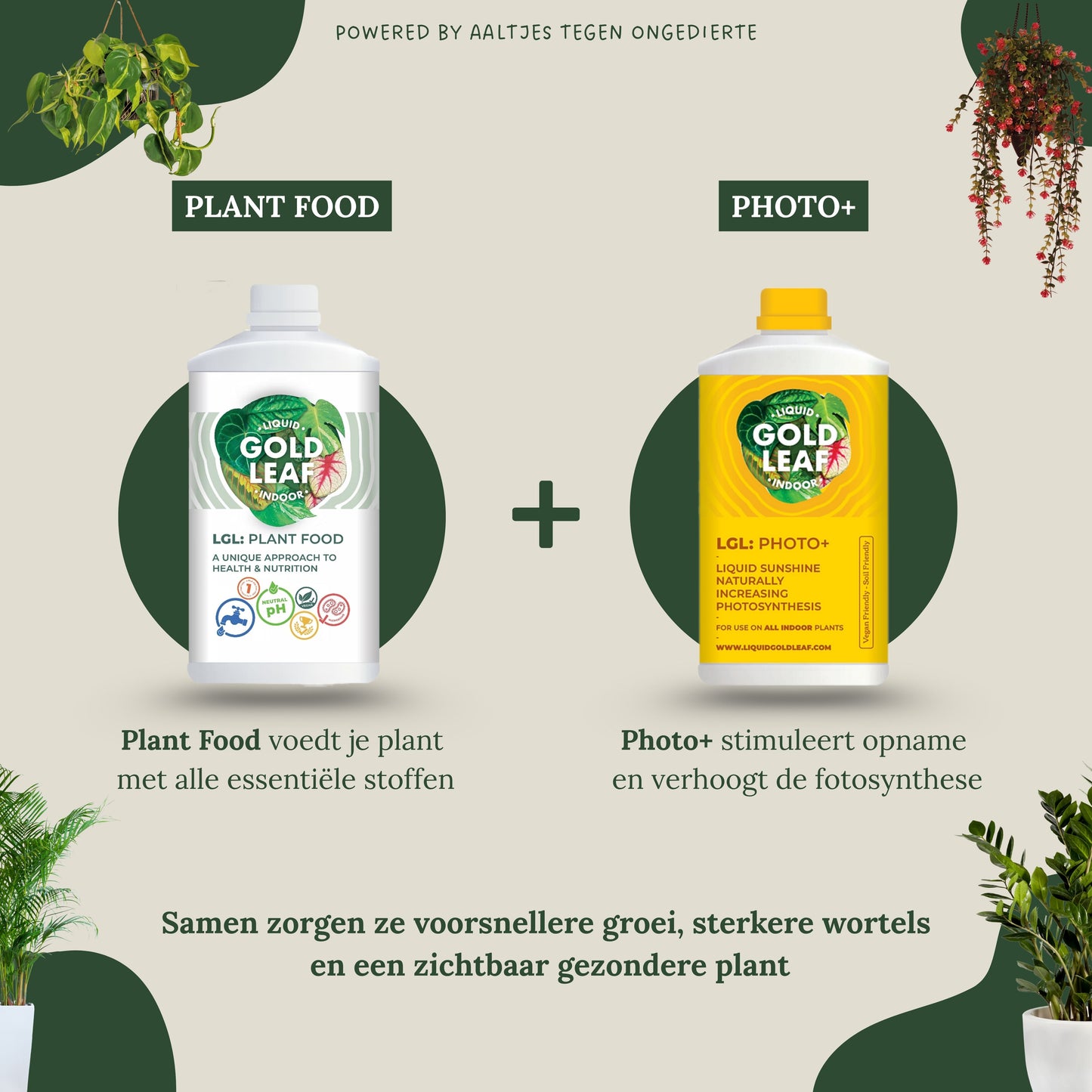 Liquid Gold Leaf Photo+ 250 ml