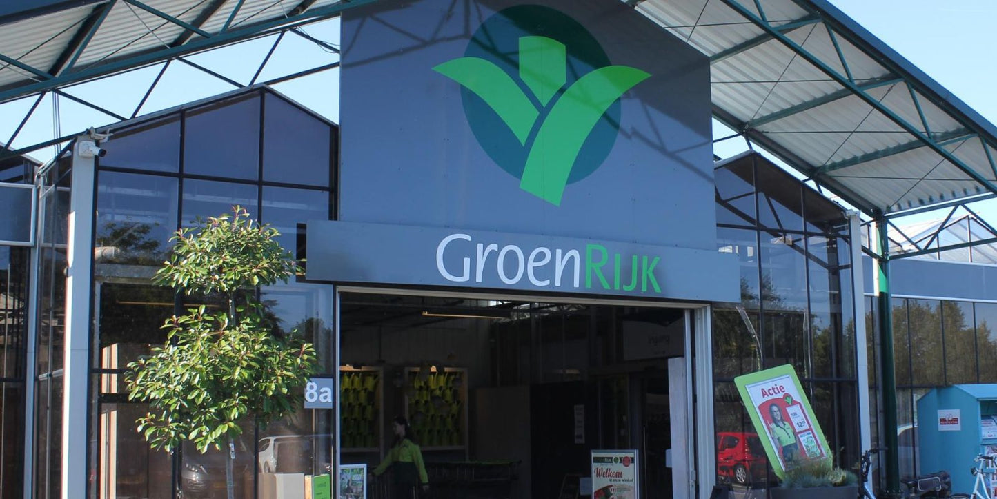 Aaltjes kopen bij GroenRijk