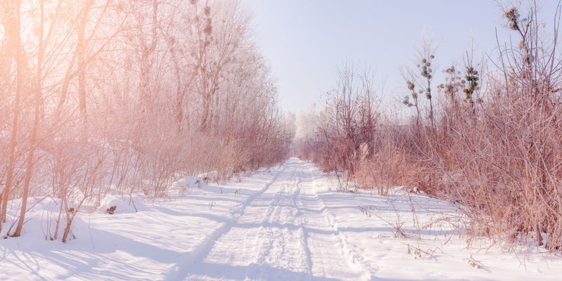 Kun je trips bestrijden met aaltjes in de winter?