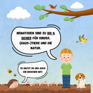 Nematoden gegen Taxuskäfer