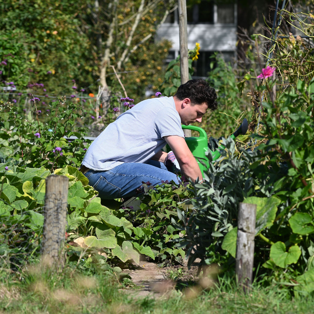
                      
                        Nematoden gegen Taxuskäfer
                      
                    