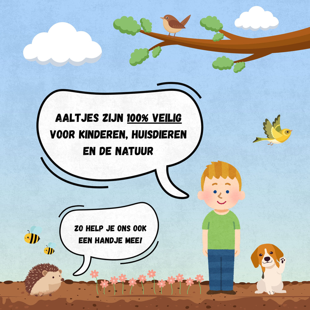 
                      
                        Nematoden gegen Trauerfliegen
                      
                    