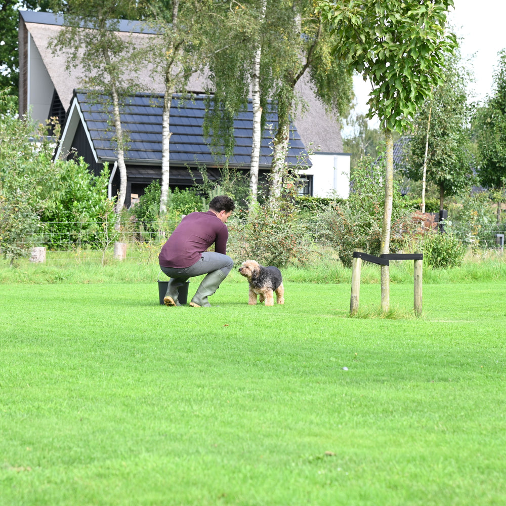
                      
                        Nematoden gegen Maden
                      
                    