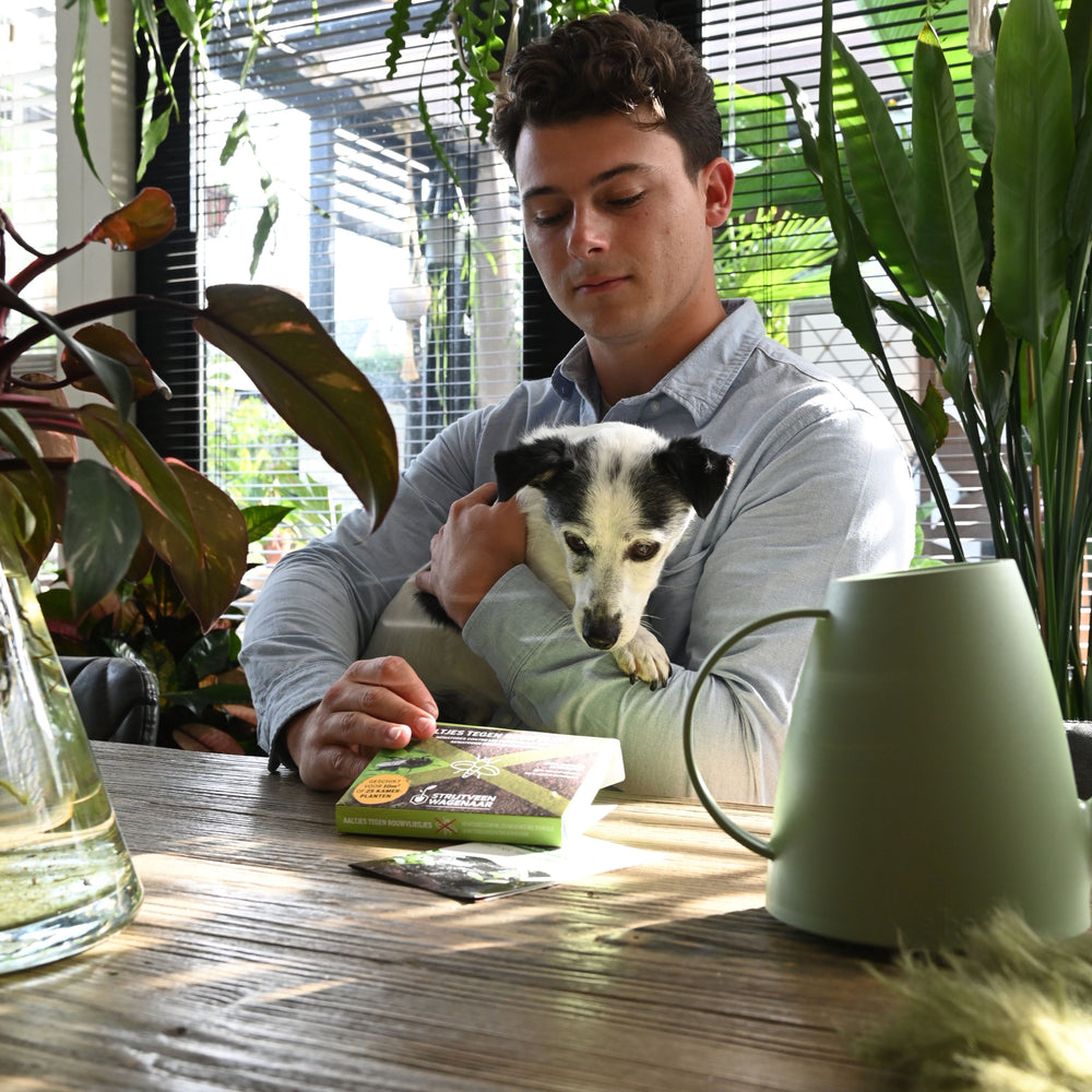 
                      
                        Nematoden gegen Trauerfliegen
                      
                    