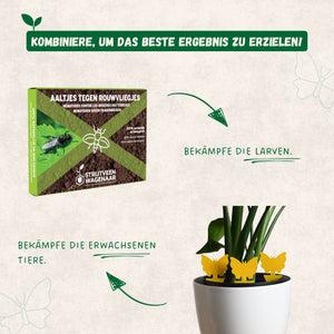 Nematoden gegen Trauermücken