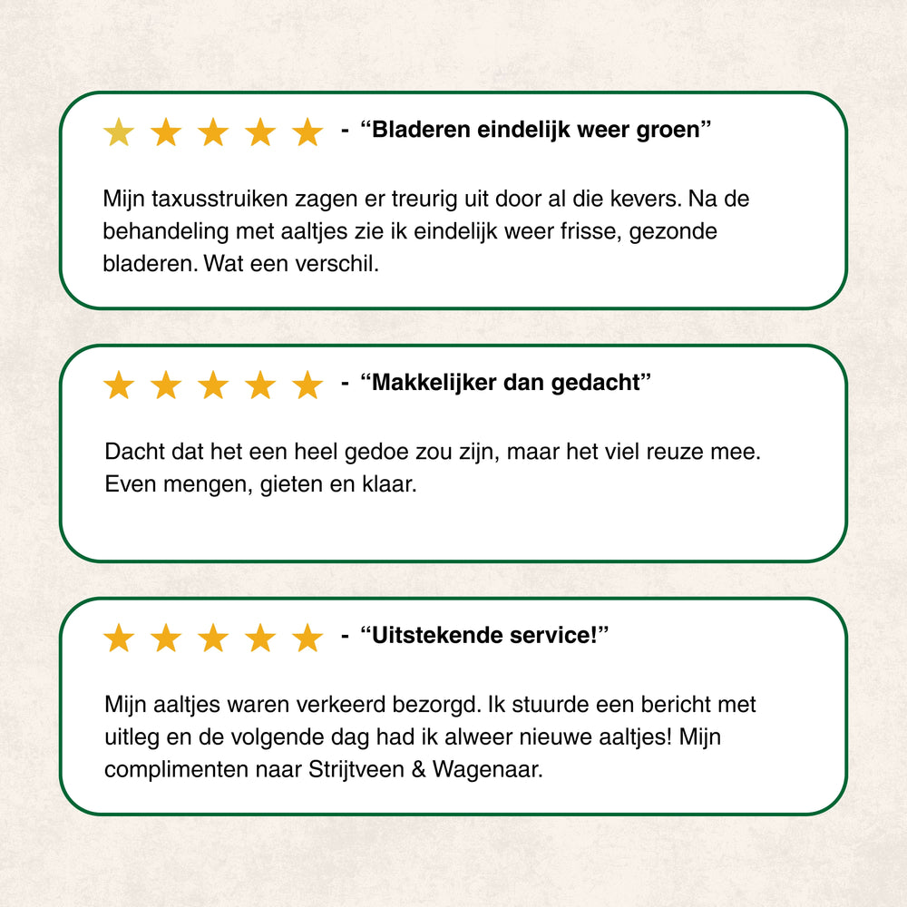 
                      
                        Nematoden gegen Taxuskäfer
                      
                    