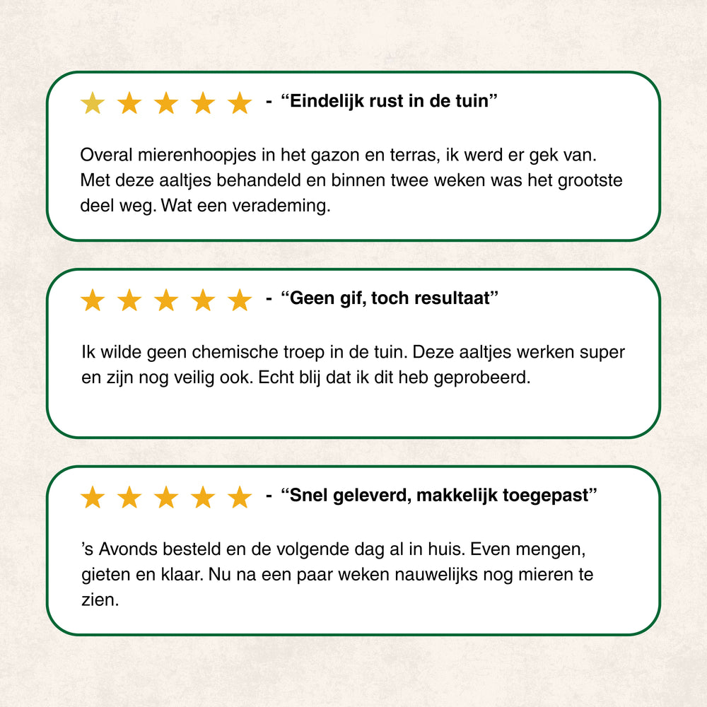 
                      
                        Nematoden gegen Ameisen
                      
                    