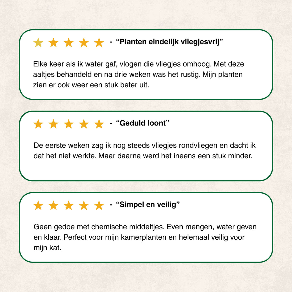 
                      
                        Nematoden gegen Trauerfliegen
                      
                    