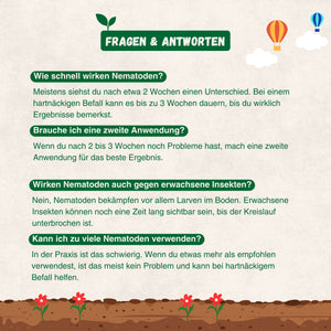 Nematoden gegen Trauermücken + gelbe Klebefallen
