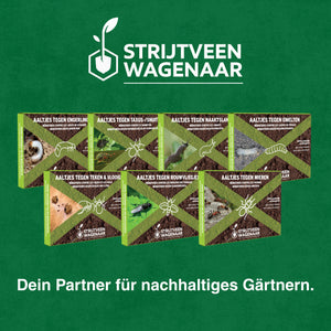 Nematoden gegen Trauermücken