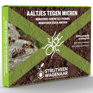 Nematoden gegen Ameisen
