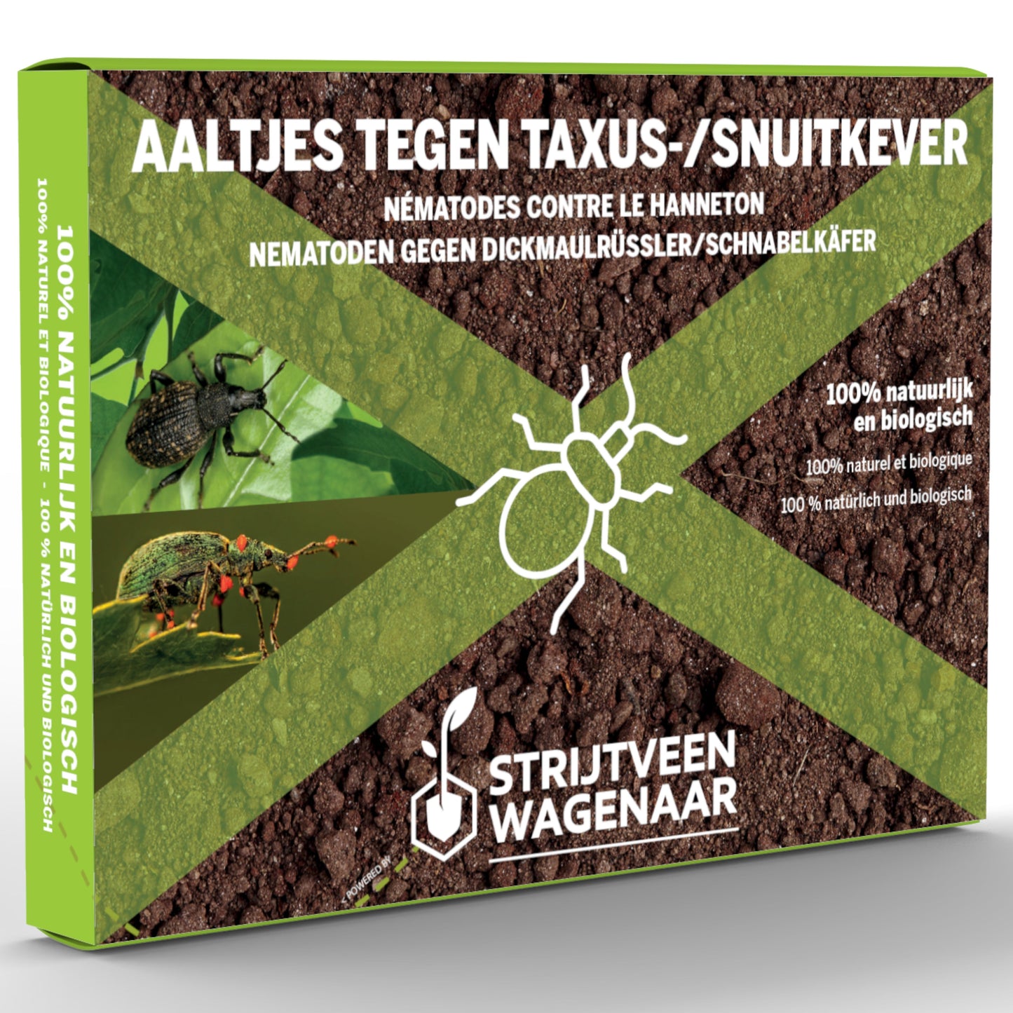 Nematoden gegen Taxuskäfer