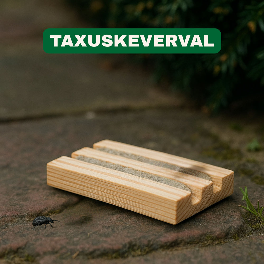 
                      
                        Strijtveen & Wagenaar Taxuskeverval
                      
                    