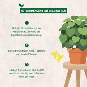 Klebefallen