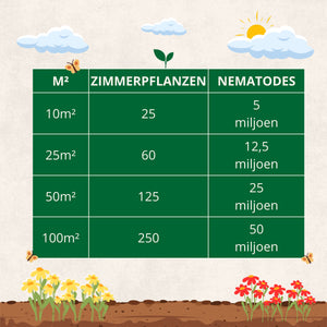 Nematoden gegen Trauermücken + gelbe Klebefallen