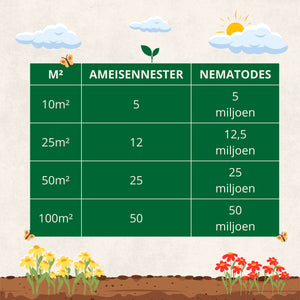 Nematoden gegen Ameisen