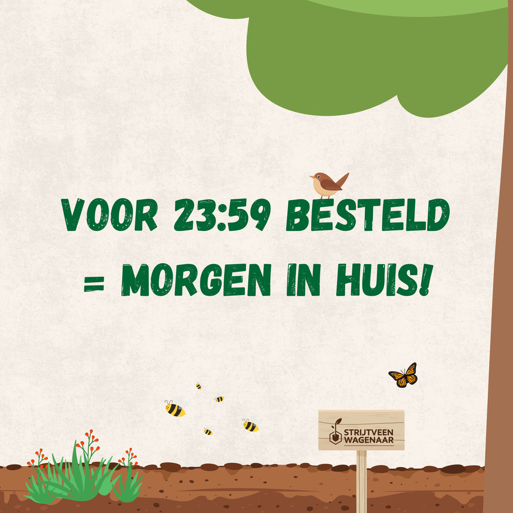 
                      
                        Nematoden gegen Ameisen
                      
                    