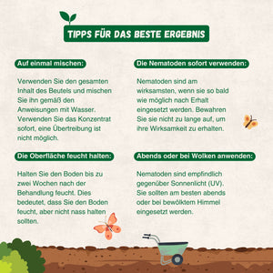 Nematoden gegen Zecken und Flöhe