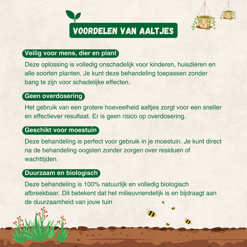 
                      
                        Nematoden gegen Ameisen
                      
                    