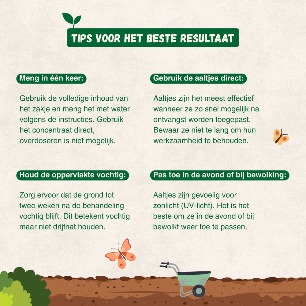 
                      
                        Nematoden gegen Trauerfliegen
                      
                    