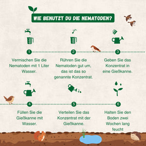 Nematoden gegen Wiesenschnakenlarven