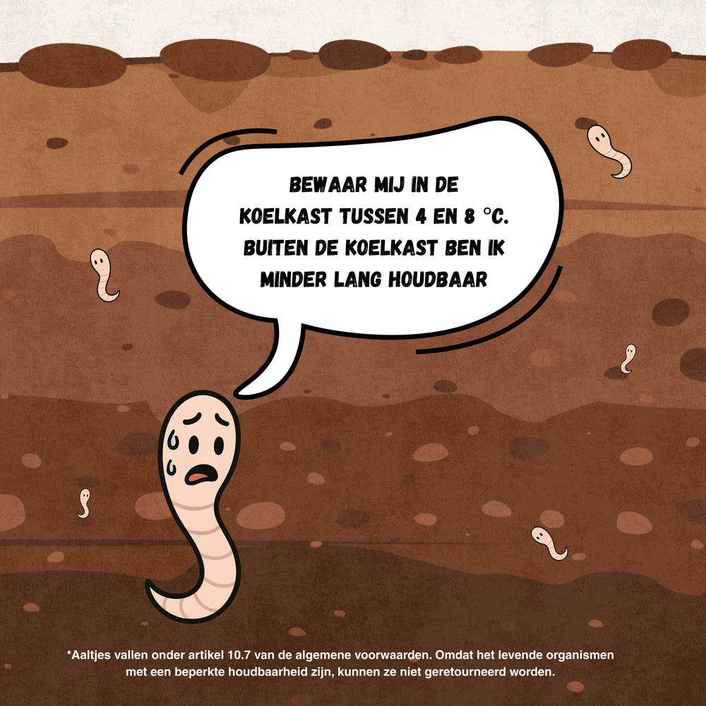 
                      
                        Nematoden gegen Maden
                      
                    
