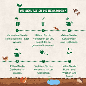 Nematoden gegen Trauermücken + gelbe Klebefallen