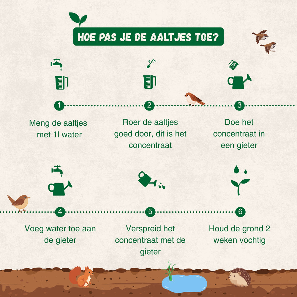 
                      
                        Nematoden gegen Maden
                      
                    