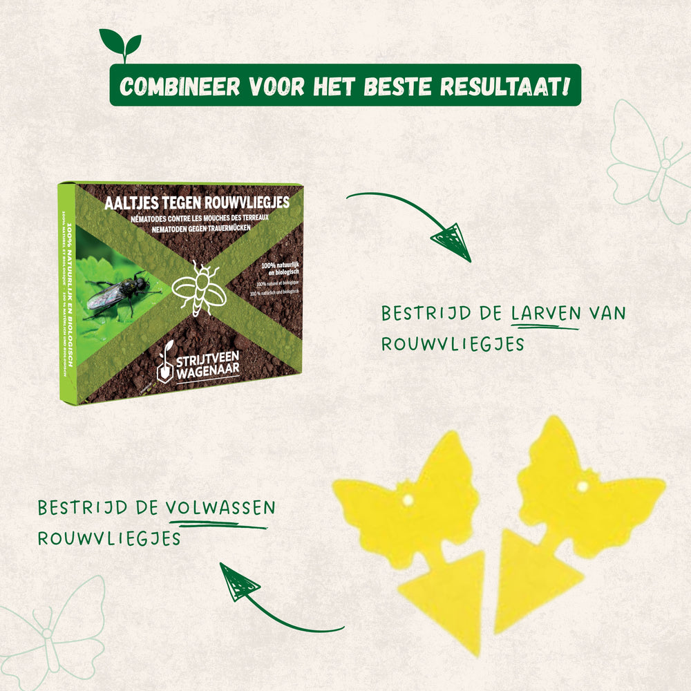 
                      
                        Nematoden gegen Trauerfliegen
                      
                    