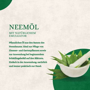 Nehem-Öl