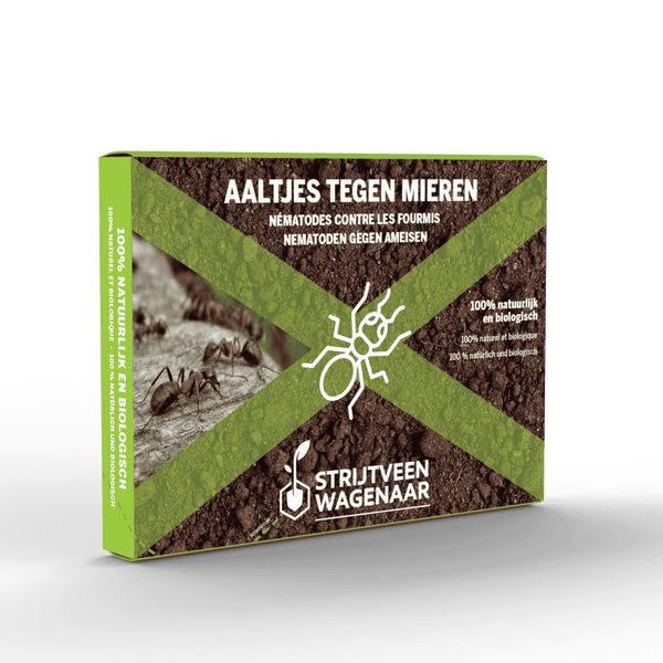 Nematoden gegen Ameisen