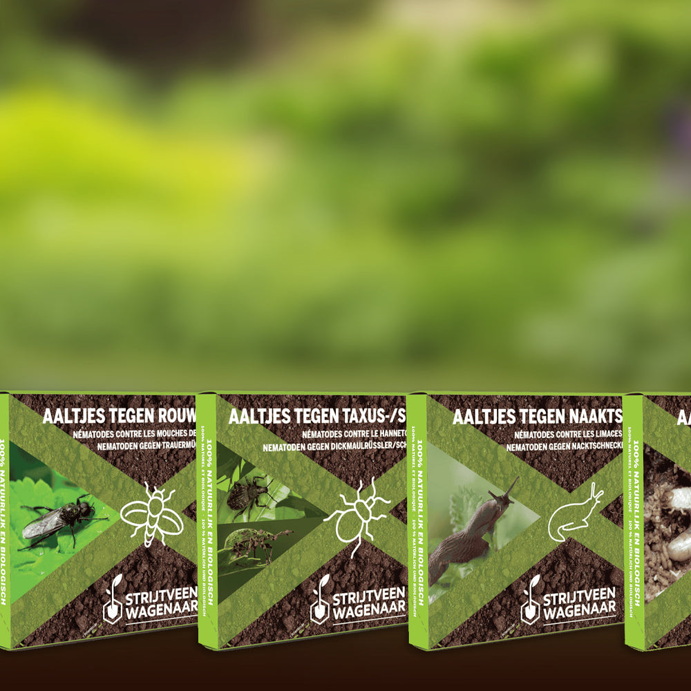 Aaltjes Tegen Ongedierte