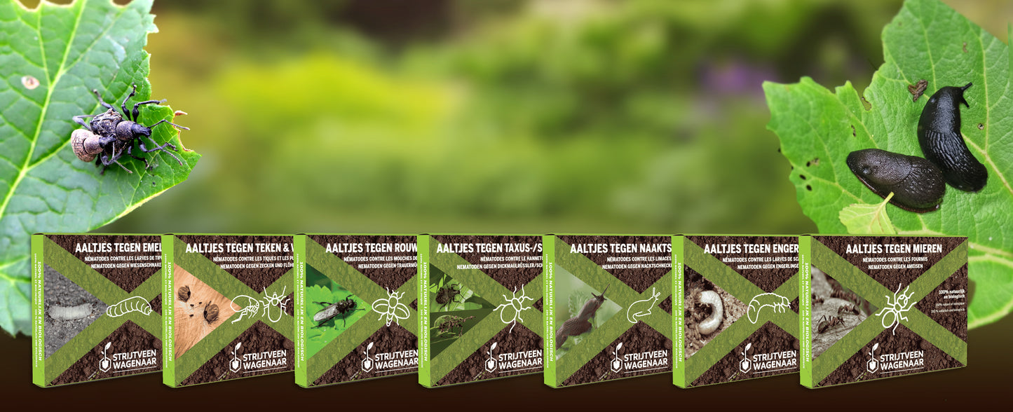 Aaltjes Tegen Ongedierte